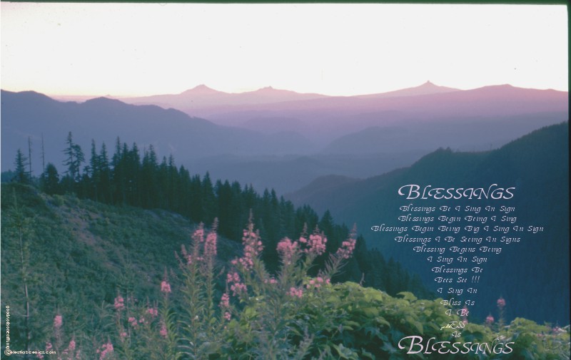 John Flinn Photography — fireweed above the Oregon Cascades at dusk, carrying the Star Art of BLESSINGS