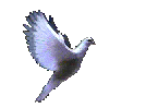 Tellurians Peace On Earth